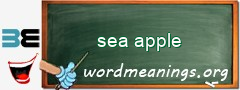 WordMeaning blackboard for sea apple